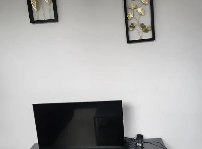 Appartement De Guise 10 Valenciennes